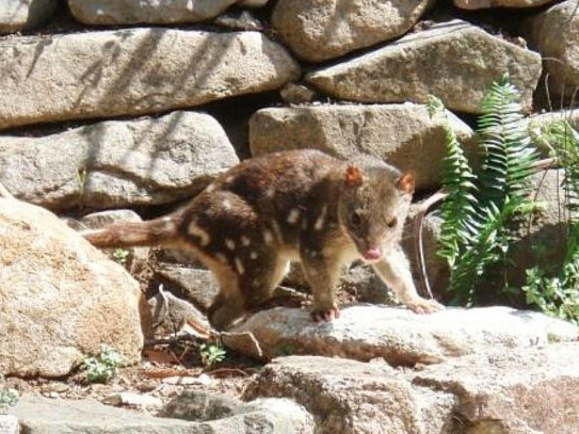 Hotel Jenolan Caves House Zewnętrze zdjęcie