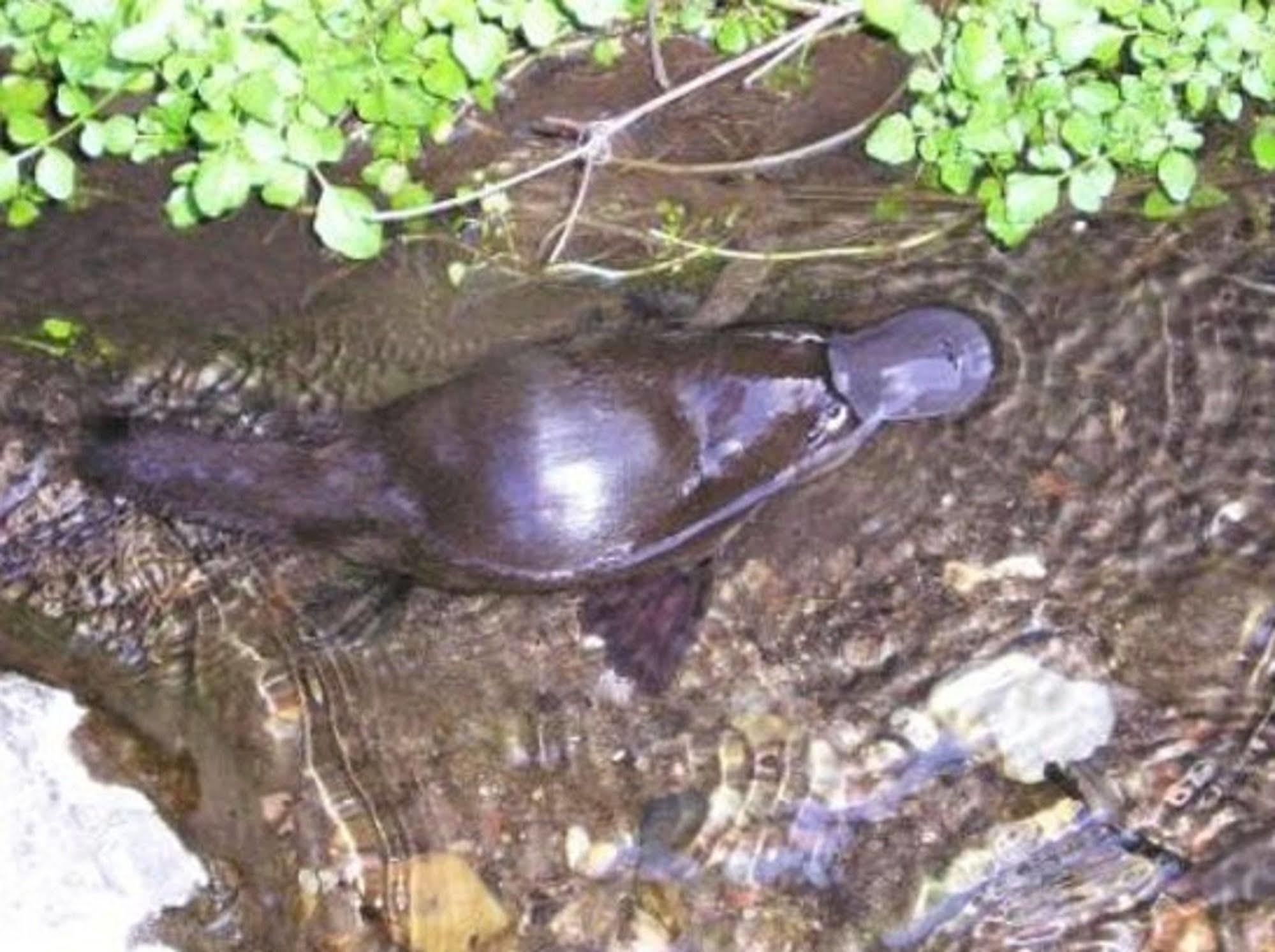 Hotel Jenolan Caves House Zewnętrze zdjęcie